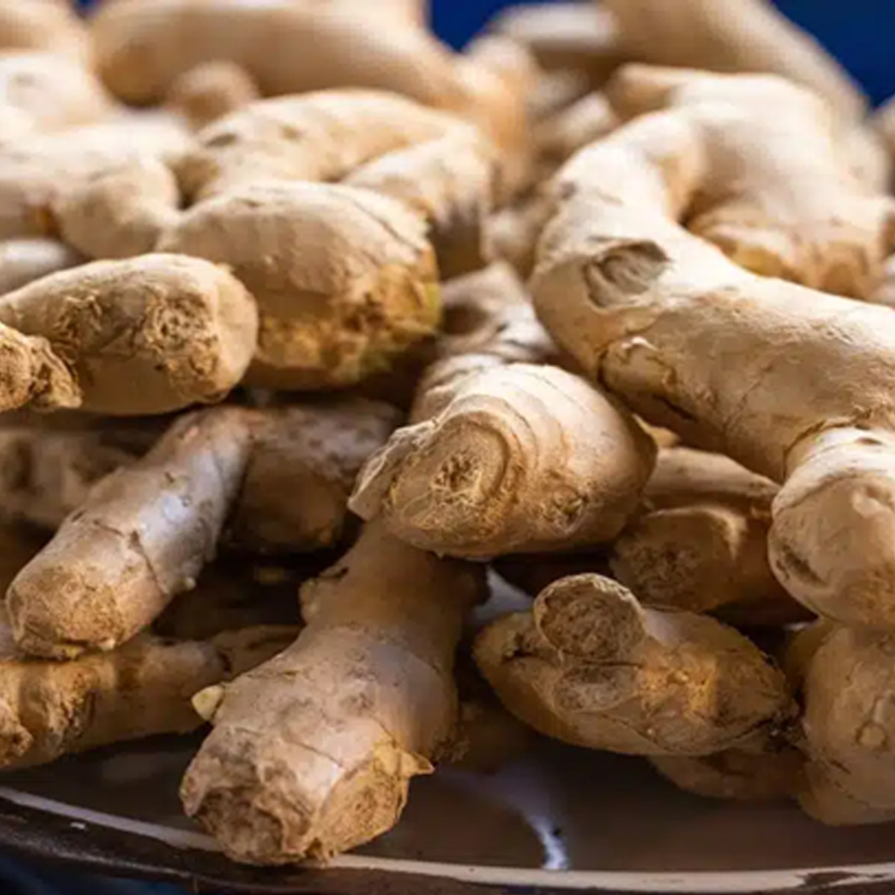 Ginger
